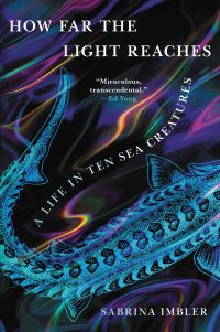 Book Cover for How Far the Light Reaches by Sabrina Imbler