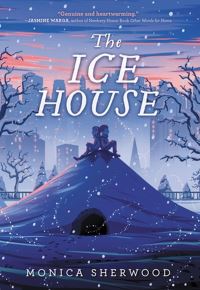 Book Cover for The Ice House by Monica Sherwood