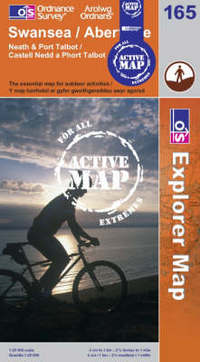 Book Cover for Swansea / Abertawe by 