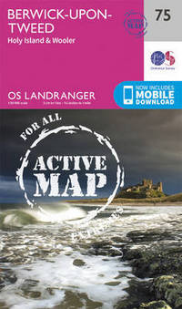 Book Cover for Berwick-Upon-Tweed by 