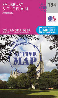 Book Cover for Salisbury & The Plain, Amesbury by 