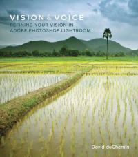 Book Cover for Vision & Voice by David DuChemin