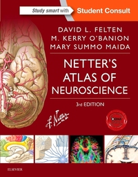 Book Cover for Netter's Atlas of Neuroscience by David L Felten, M Kerry OBanion, Mary Summo Maida, David L Felten