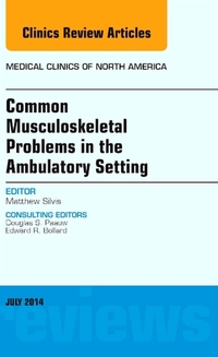 Book Cover for Common Musculoskeletal Problems in the Ambulatory Setting by Matthew Silvis