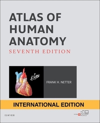 Book Cover for Atlas of Human Anatomy International Edition by Frank H, MD Netter