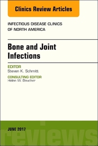 Book Cover for Bone and Joint Infections by Steven K Schmitt