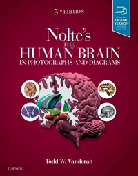 Book Cover for Nolte's the Human Brain in Photographs and Diagrams by Todd W Vanderah