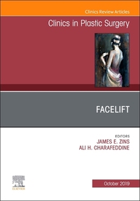 Book Cover for Facelift by James E Zins, Ali Charafeddine