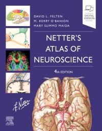 Book Cover for Netter's Atlas of Neuroscience by David L Felten, M Kerry OBanion, Mary Summo Maida