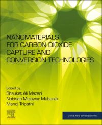 Book Cover for Nanomaterials for Carbon Dioxide Capture and Conversion Technologies by Shaukat Ali Mazari, Mubarak Nabisab Mujawar, Manoj Tripathi