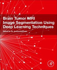 Book Cover for Brain Tumor MRI Image Segmentation Using Deep Learning Techniques by Jyotismita Chaki