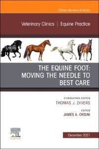 Book Cover for The Equine Foot by James A Orsini