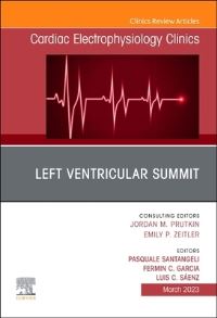 Book Cover for LV Summit EP Clinics by Pasquale Santangeli, Fermin Carlos Garcia, Luis Casis Saenz