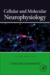 Book Cover for Cellular and Molecular Neurophysiology by C Hammond