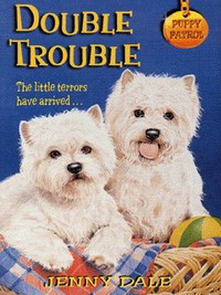 Book Cover for Double Trouble by Jenny Dale, Michael Reid