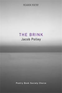 Book Cover for The Brink by Jacob Polley