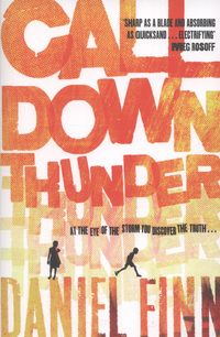 Book Cover for Call Down Thunder by Daniel Finn