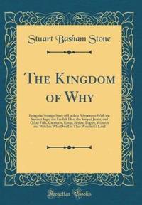 Book Cover for The Kingdom of Why by Stuart Basham Stone