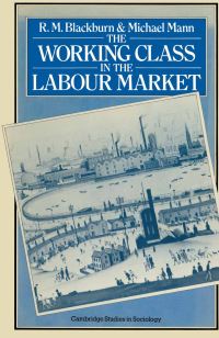 Book Cover for The Working Class in the Labour Market by R M Blackburn, Michael Mann