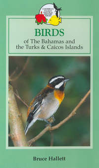Book Cover for Birds of Bahamas and Turks & Caicos Islands by Wendy Rahamut
