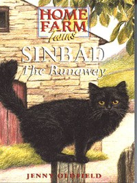 Book Cover for Sinbad by Jenny Oldfield, Kate Aldous
