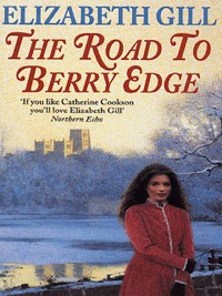 Book Cover for The Road to Berry Edge by Elizabeth Gill