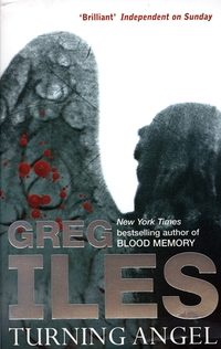 Book Cover for Turning Angel by Greg Iles