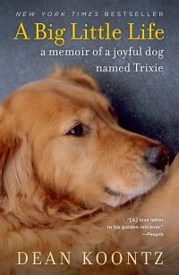 Book Cover for A Big Little Life by Dean Koontz