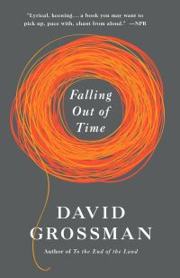 Book Cover for Falling Out of Time by David Grossman