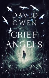 Book Cover for Grief Angels by David Owen