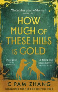 Book Cover for How Much of These Hills Is Gold by C Pam Zhang