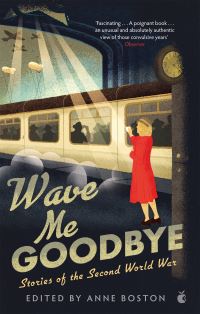 Book Cover for Wave Me Goodbye by Anne Boston