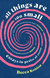 Book Cover for All Things Are Too Small by Becca Rothfeld