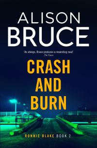 Book Cover for Crash and Burn by Alison Bruce