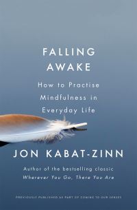 Book Cover for Falling Awake by Jon KabatZinn