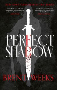 Book Cover for Perfect Shadow by Brent Weeks