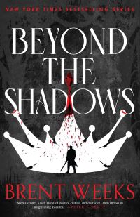 Book Cover for Beyond the Shadows by Brent Weeks