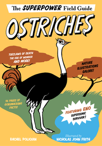 Book Cover for Ostriches by Rachel Poliquin