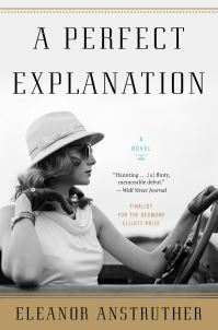 Book Cover for A Perfect Explanation by Eleanor Anstruther