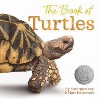 Book Cover for The Book of Turtles by Sy Montgomery