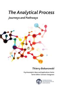 Book Cover for The Analytical Process by Thierry Bokanowski
