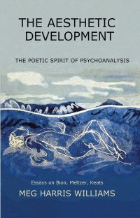 Book Cover for The Aesthetic Development by Meg Harris Williams