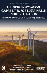 Book Cover for Building Innovation Capabilities for Sustainable Industrialisation by Rasmus Lema, Margrethe Holm Andersen, Rebecca Hanlin, Charles Nzila