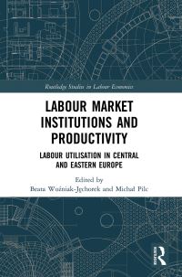 Book Cover for Labour Market Institutions and Productivity by Beata WoÔzniakJechorek, Michal Pilc
