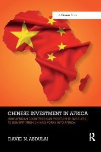Book Cover for Chinese Investment in Africa by David N Abdulai