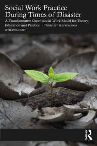 Book Cover for Social Work Practice During Times of Disaster by Lena Dominelli
