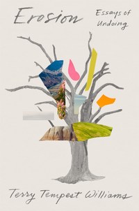 Book Cover for Erosion by Terry Tempest Williams
