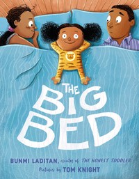 Book Cover for The Big Bed by Bunmi Laditan