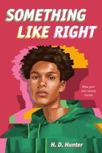 Book Cover for Something Like Right by H D Hunter
