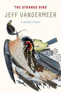 Book Cover for The Strange Bird by Jeff VanderMeer